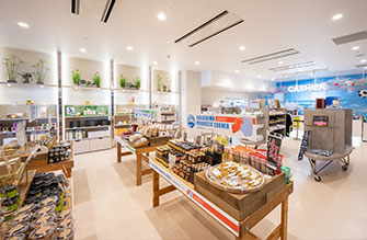 ショップでお買い物